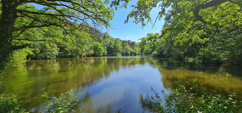 Privatization pond of 2.47 ac in Brittany