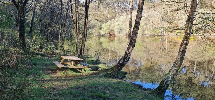 Privatization pond of 2.47 ac in Brittany