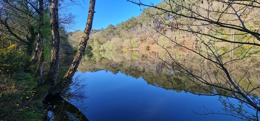 Privatization pond of 2.47 ac in Brittany