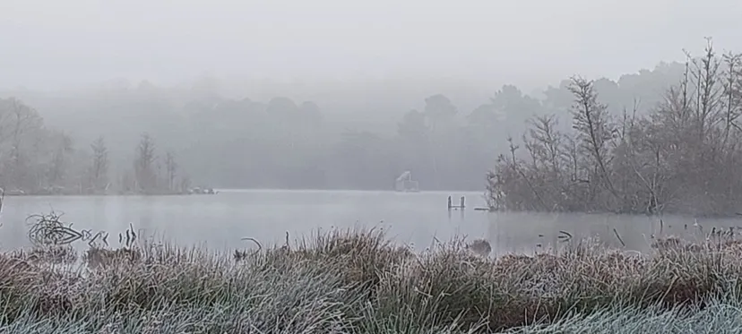Etang de 51.89 ac with a floating cabin, boat access on the estate, fishing in Brittany