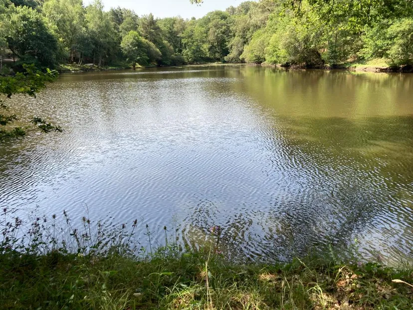 Privatization pond of 2.47 ac in Brittany