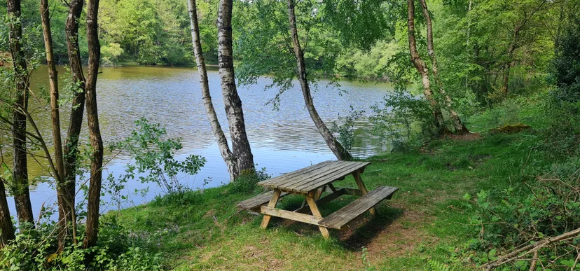 Privatization pond of 2.47 ac in Brittany
