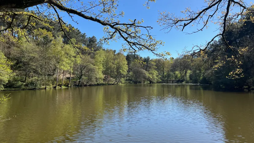 Privatization pond of 2.47 ac in Brittany