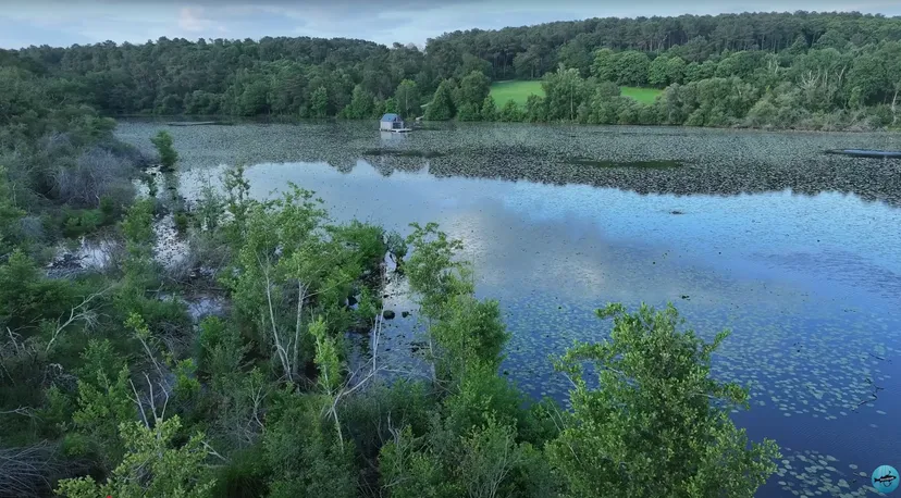 Etang de 51.89 ac with a floating cabin, boat access on the estate, fishing in Brittany