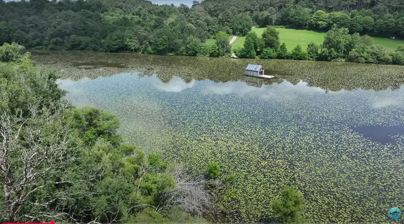 Etang de 51.89 ac with a floating cabin, boat access on the estate, fishing in Brittany