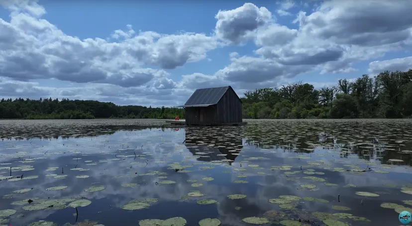 Etang de 51.89 ac with a floating cabin, boat access on the estate, fishing in Brittany