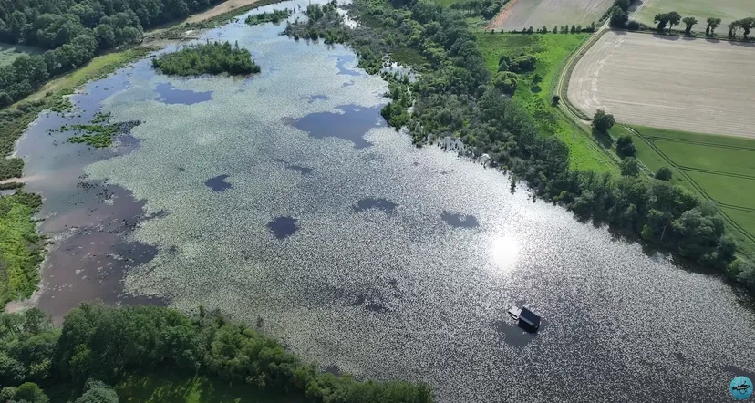 Etang de 51.89 ac with a floating cabin, boat access on the estate, fishing in Brittany
