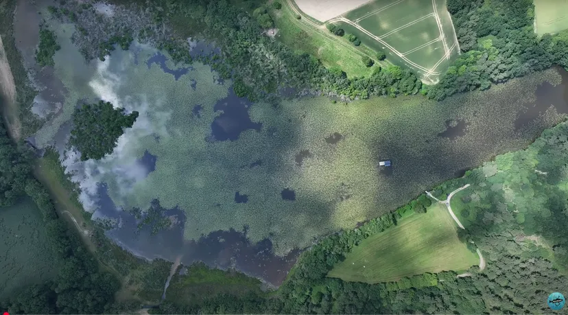 Etang de 51.89 ac with a floating cabin, boat access on the estate, fishing in Brittany