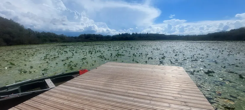 Etang de 51.89 ac with a floating cabin, boat access on the estate, fishing in Brittany
