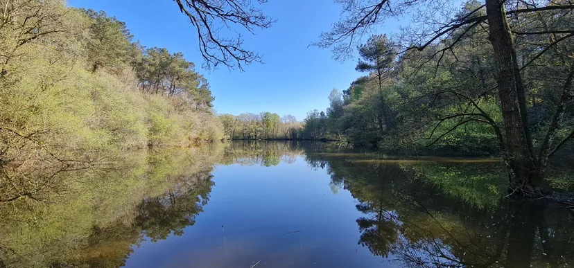 Privatization pond of 2.47 ac in Brittany