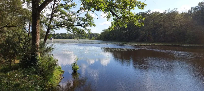 Etang de 51.89 ac with a floating cabin, boat access on the estate, fishing in Brittany