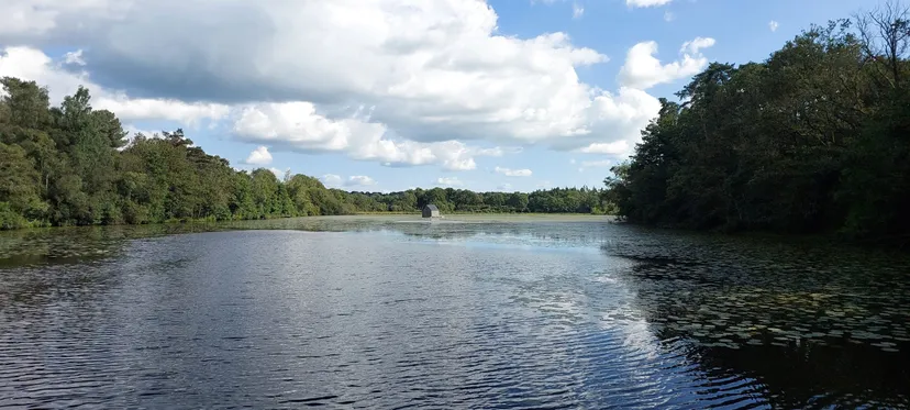 Etang de 51.89 ac with a floating cabin, boat access on the estate, fishing in Brittany