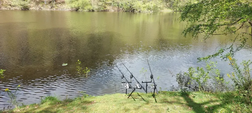 Privatization pond of 2.47 ac in Brittany