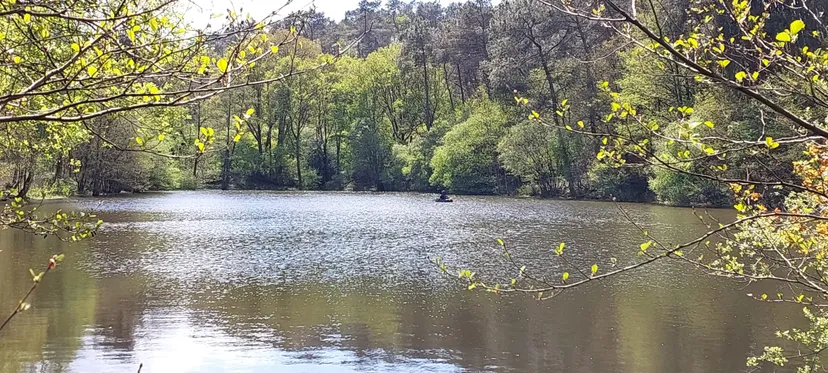 Privatization pond of 2.47 ac in Brittany