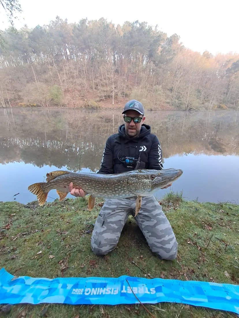 Privatization pond of 2.47 ac in Brittany