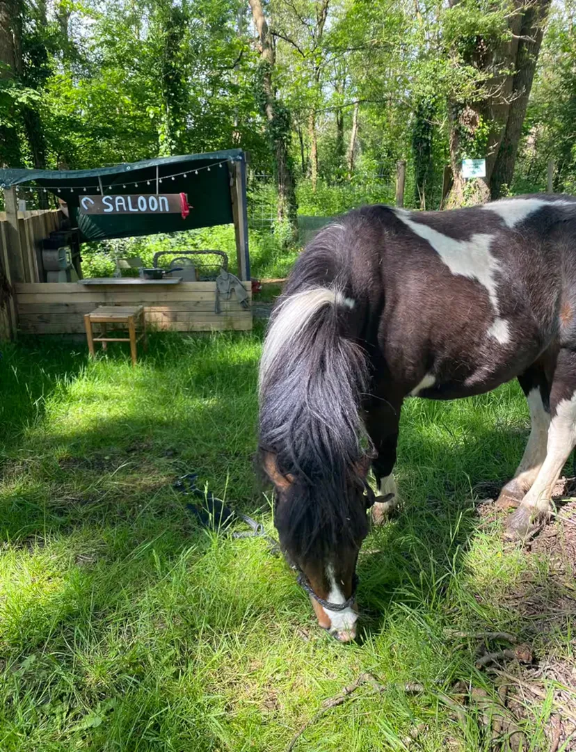 Location vacances à côté de Nantes, chalet 4 personnes au bord d'un étang privé avec des animaux
