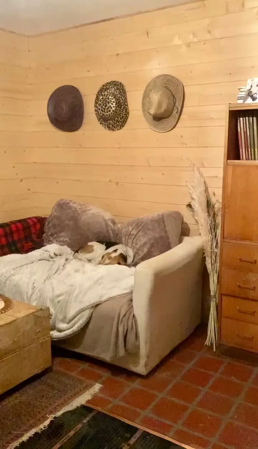 Location vacances à côté de Nantes, chalet 4 personnes au bord d'un étang privé avec des animaux