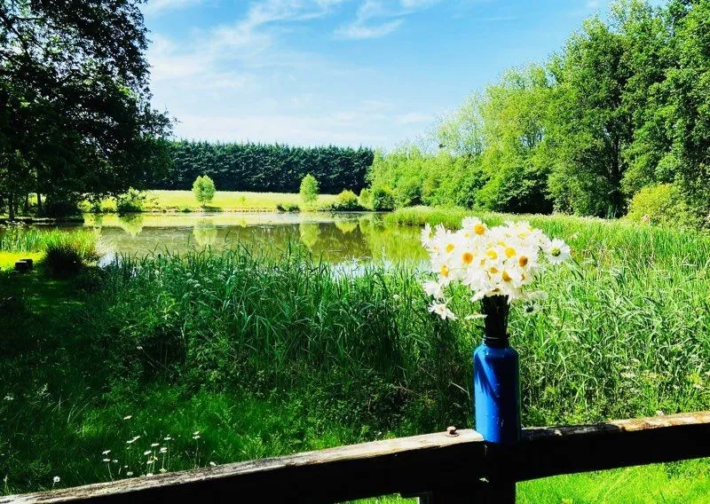 Location vacances à côté de Nantes, chalet 4 personnes au bord d'un étang privé avec des animaux