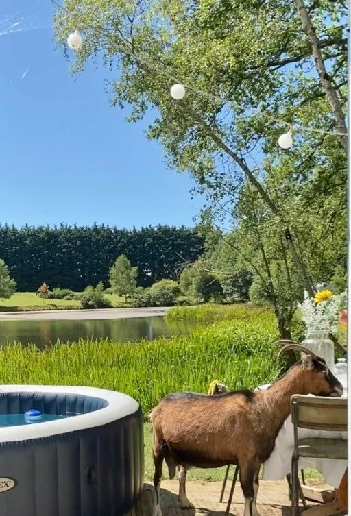 Location vacances à côté de Nantes, chalet 4 personnes au bord d'un étang privé avec des animaux