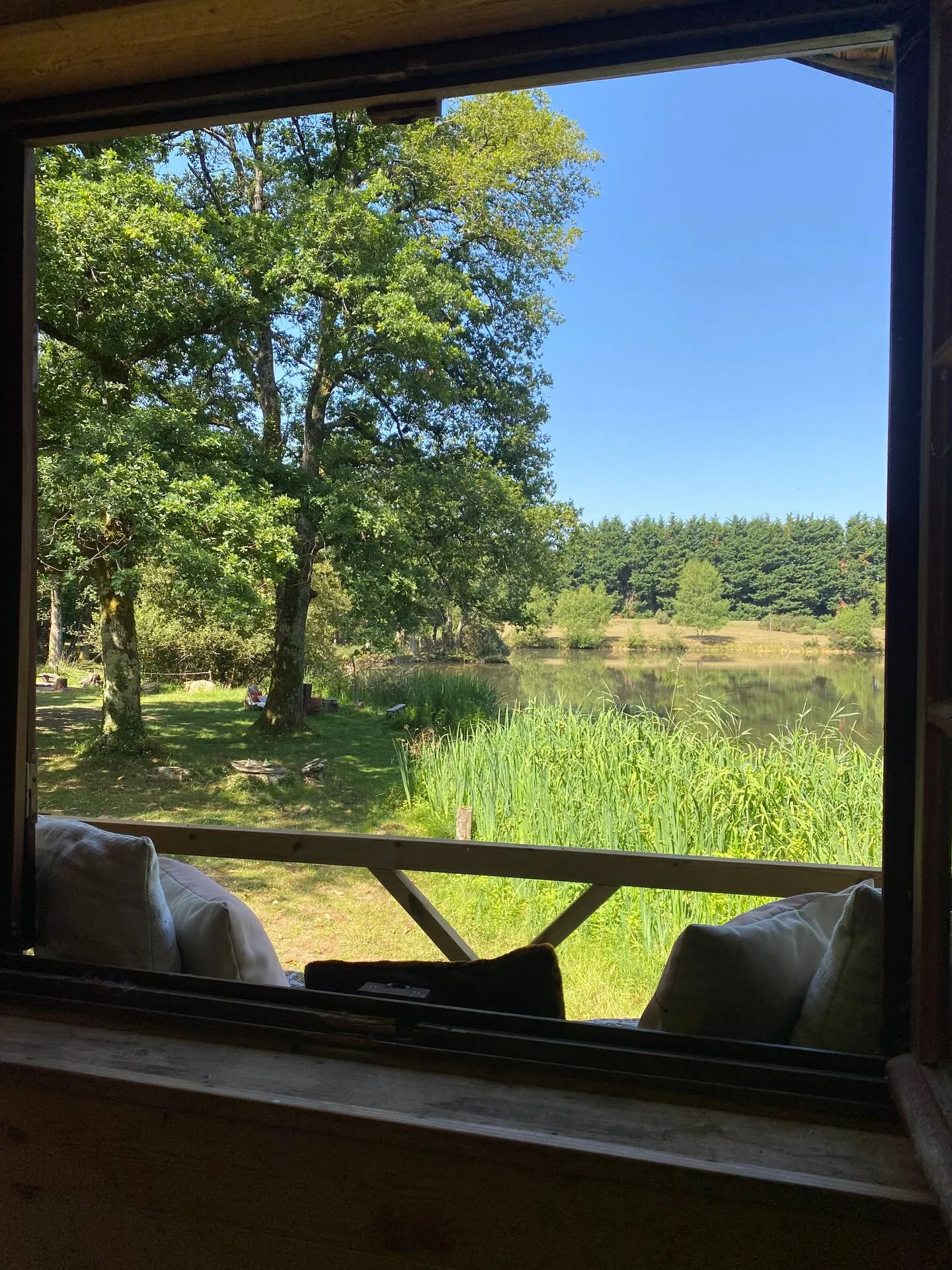 Chalet en bois au bord d’un étang pour deux personnes – Pays de la Loire - Avec des animaux