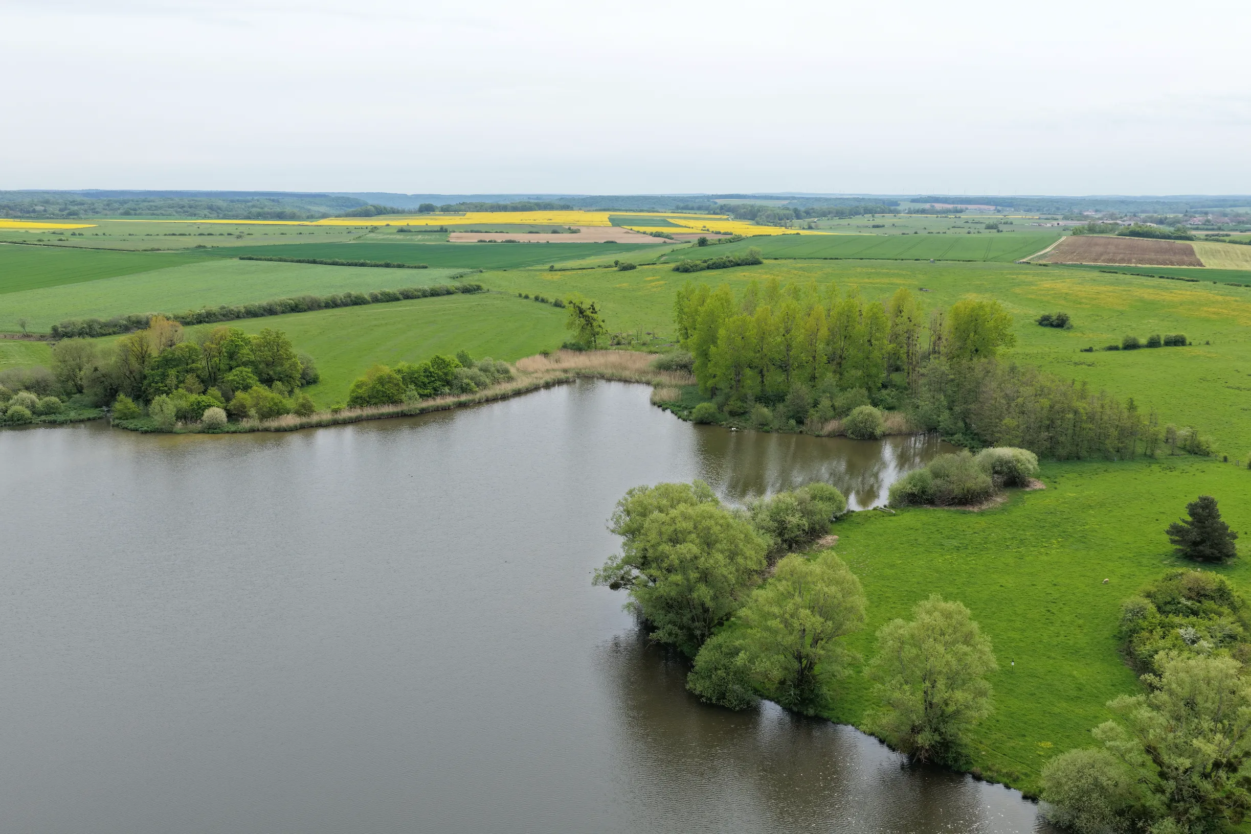 Location étang de 9ha avec une cabane de pêcheur en Haute-Marne