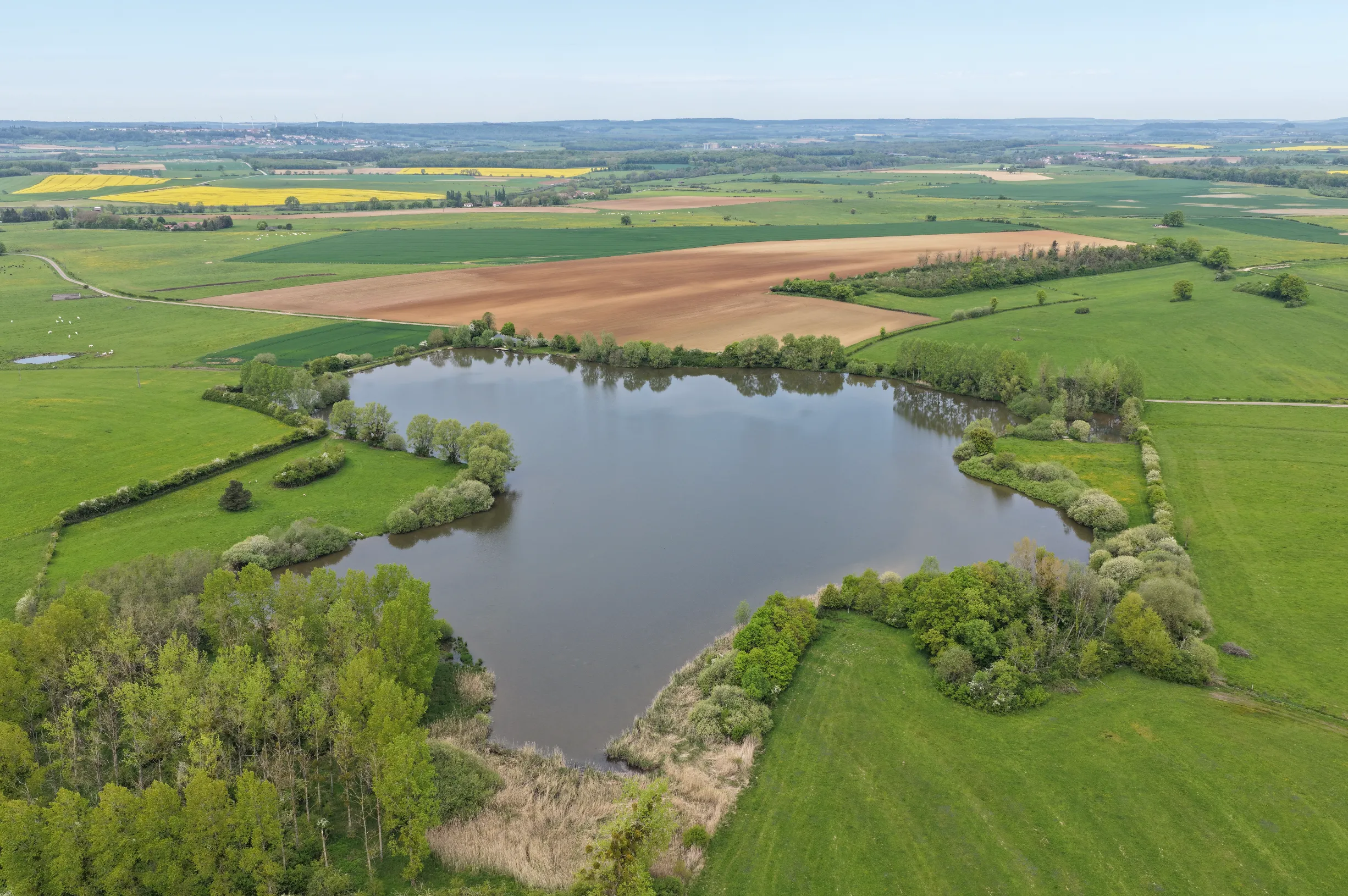 Location étang de 9ha avec une cabane de pêcheur en Haute-Marne