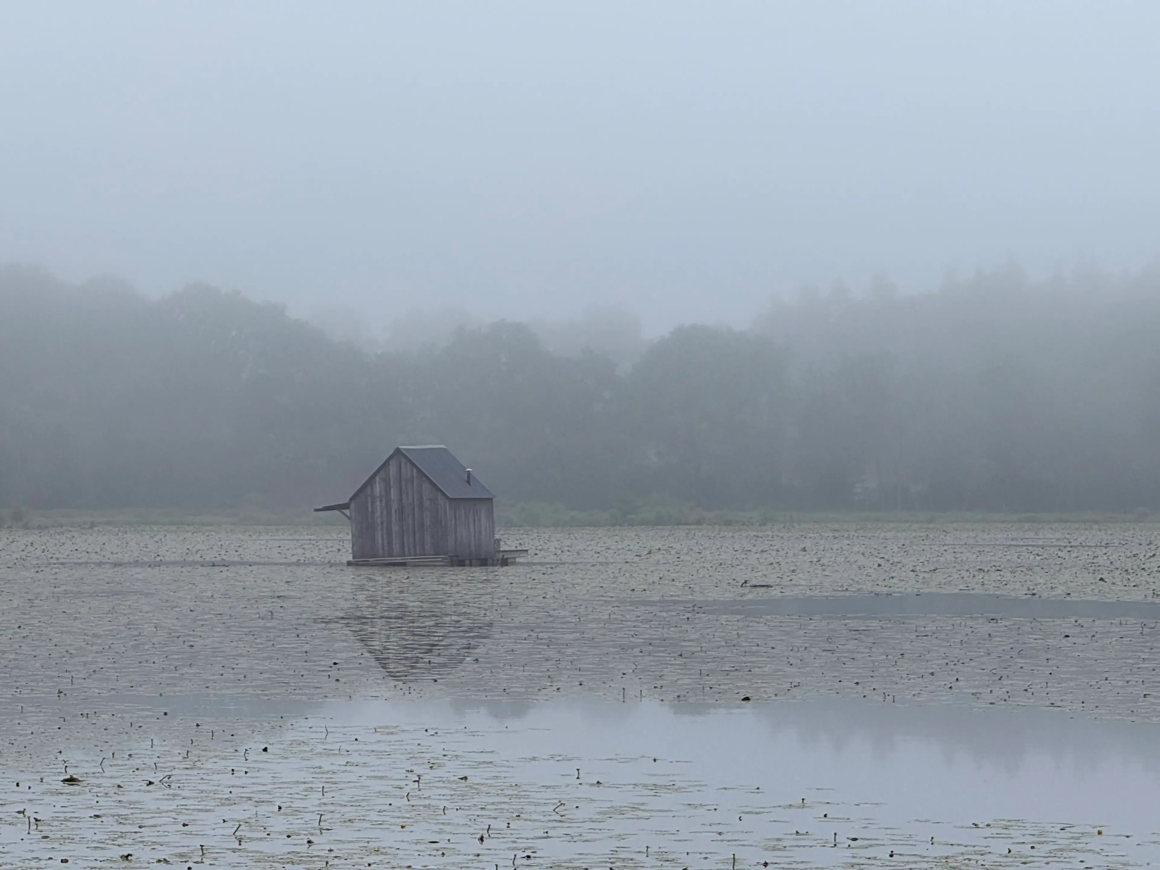 Etang de 21ha avec une cabane flottante, accès en barque sur le domaine, pêche en Bretagne