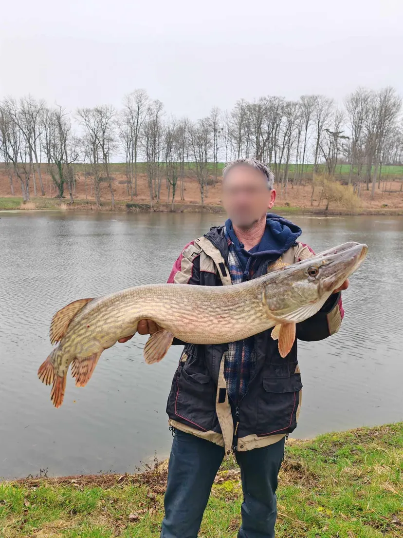 Écolodge flottant en Champagne - 4 pers
