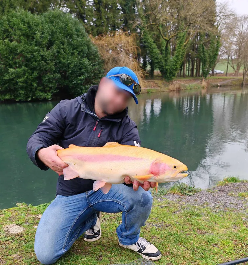 Écolodge flottant en Champagne - 4 pers