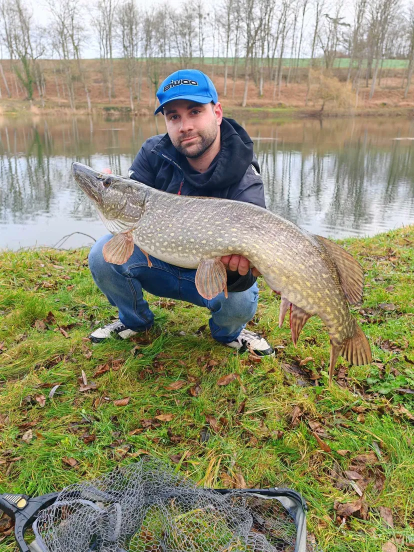 Écolodge flottant en Champagne - 2 pers