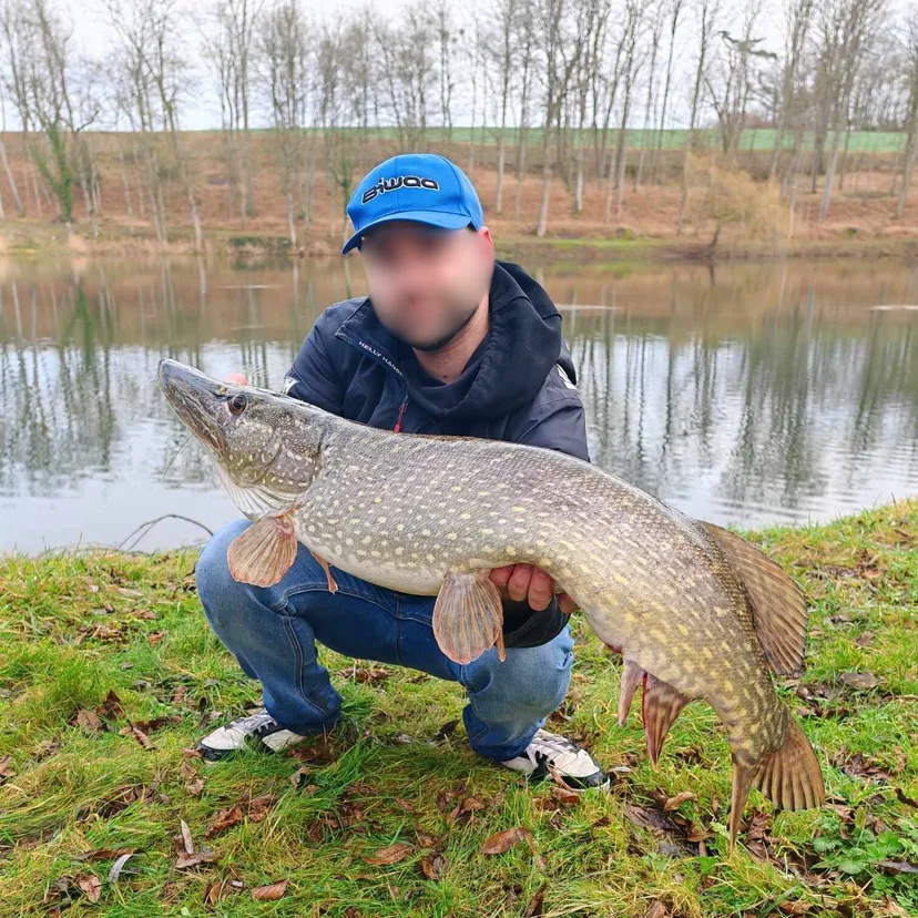 Écolodge flottant en Champagne - 4 pers