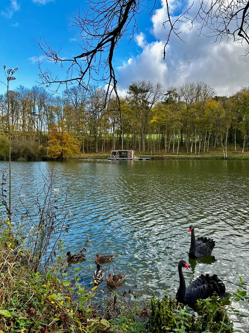 Écolodge flottant en Champagne - 4 pers