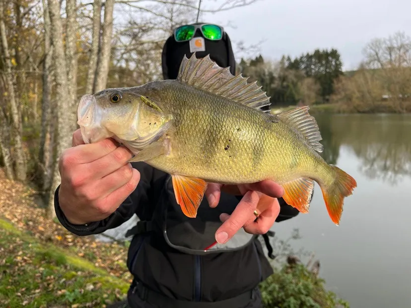 Écolodge flottant en Champagne - 2 pers