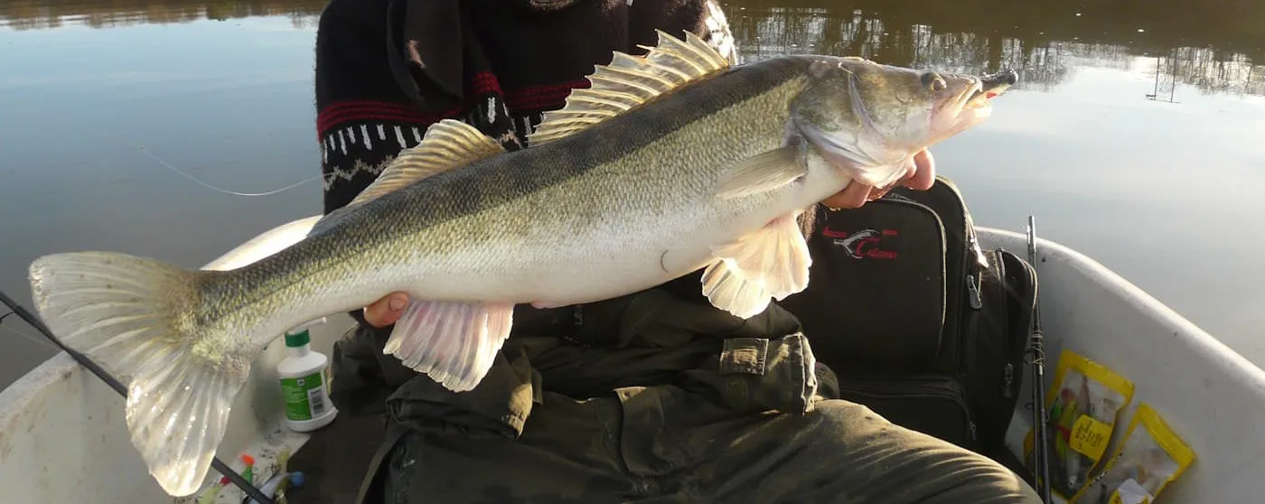 Pêche sur immense lac sauvage avec toue privatisée et accès exclusif à la berge à 1 h de Rennes