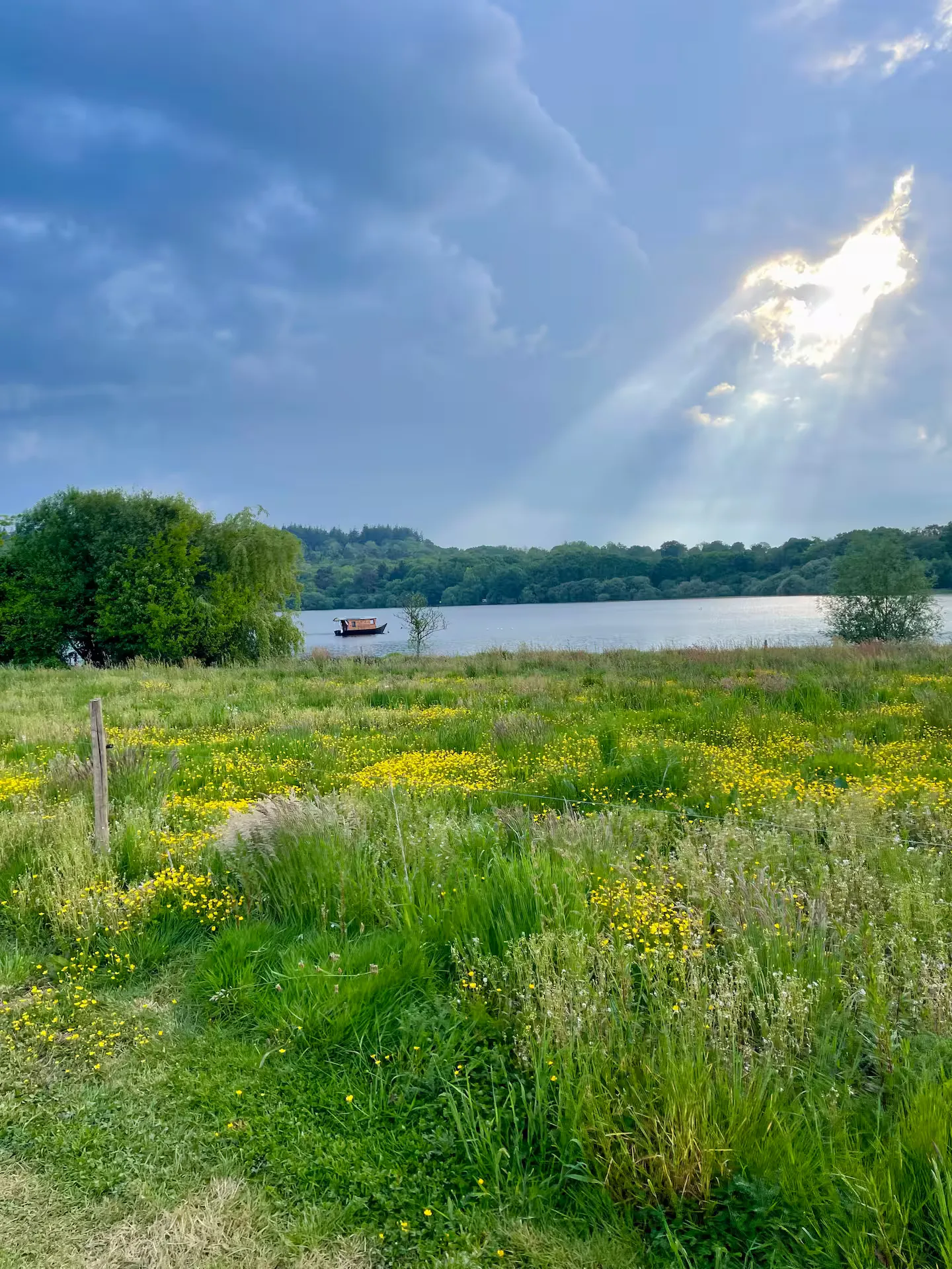 Pêche sur immense lac sauvage avec toue privatisée et accès exclusif à la berge à 1 h de Rennes