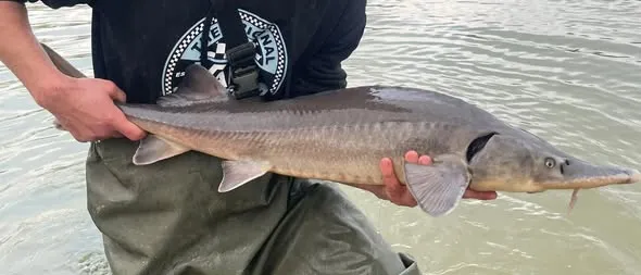 Pêche sur étang privé de 6 000 m² au cœur de 5 h de nature à 1h de Poitiers (jusqu'à 25 personnes)