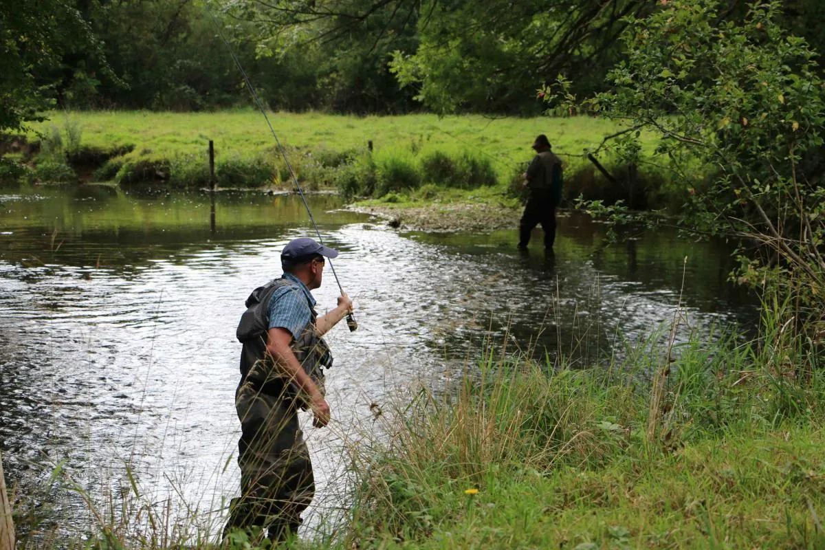 Hébergement insolite avec bain nordique au cœur de la Bourgogne