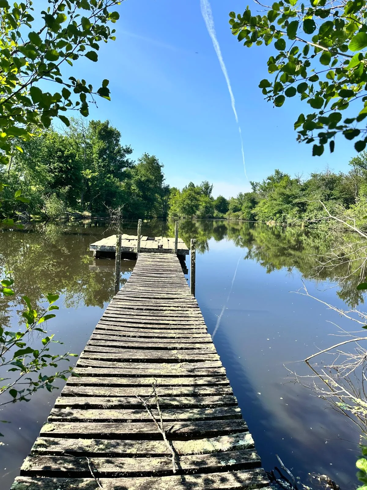 Country house in front of 3 ponds - Pct