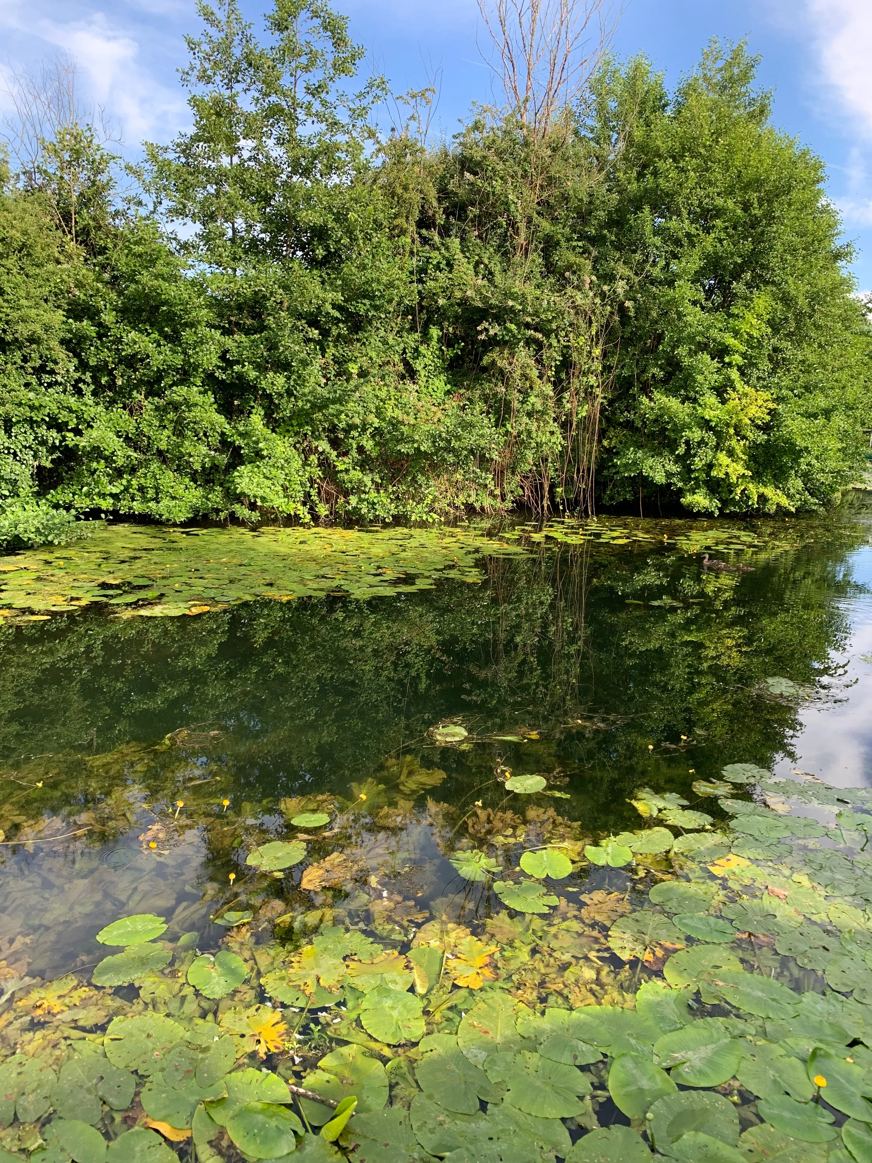 Gite de pêche en bord de rivière tout confort au cœur du marais poitevin