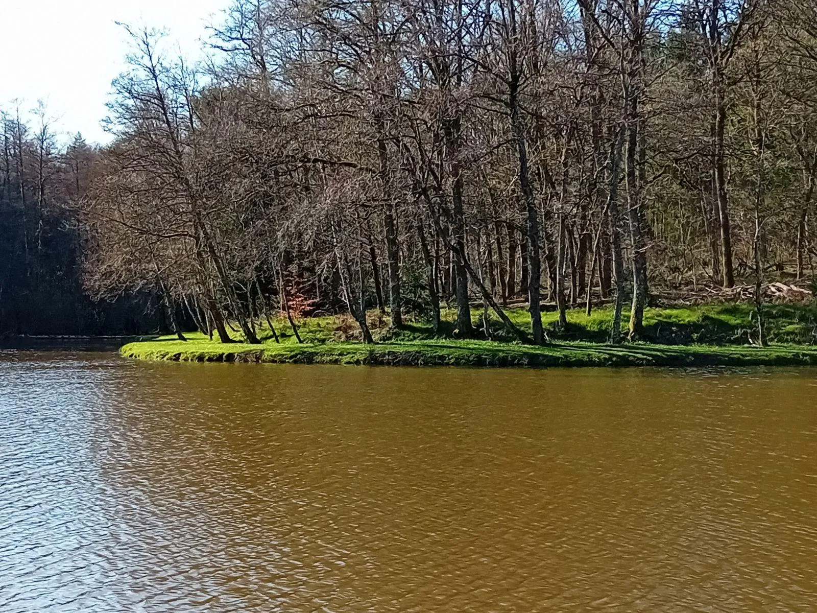 Étang de 2ha dans le département du Territoire de Belfort