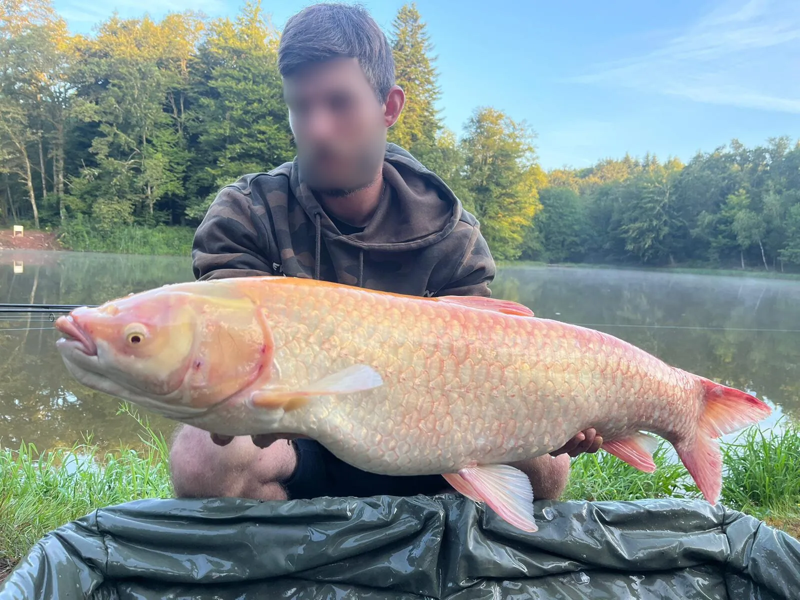 Étang de 2ha dans le département du Territoire de Belfort