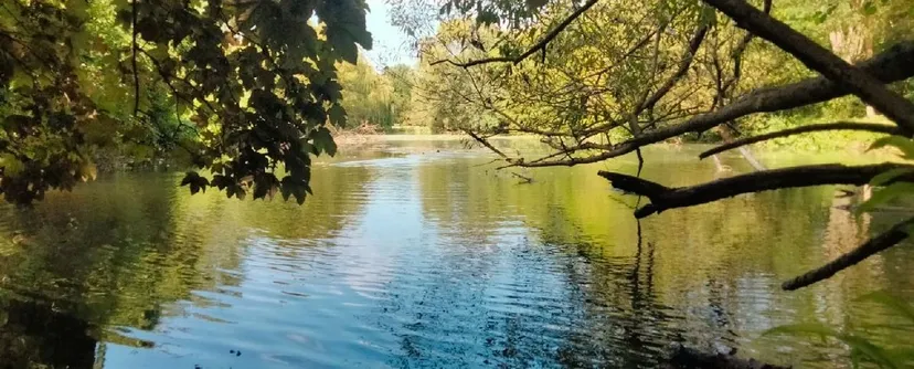 Chambres d’hôtes au bord de la rivière avec un étang privé