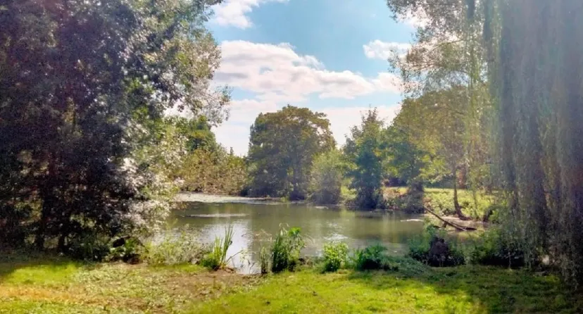 Location étang pour pêcher