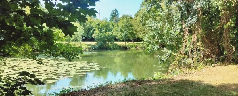 Chambres d’hôtes au bord de la rivière avec un étang privé