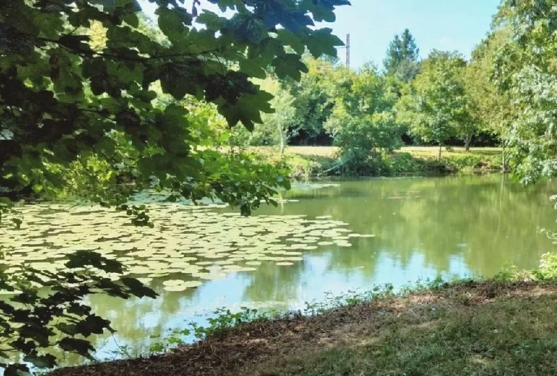 Location étang pour pêcher