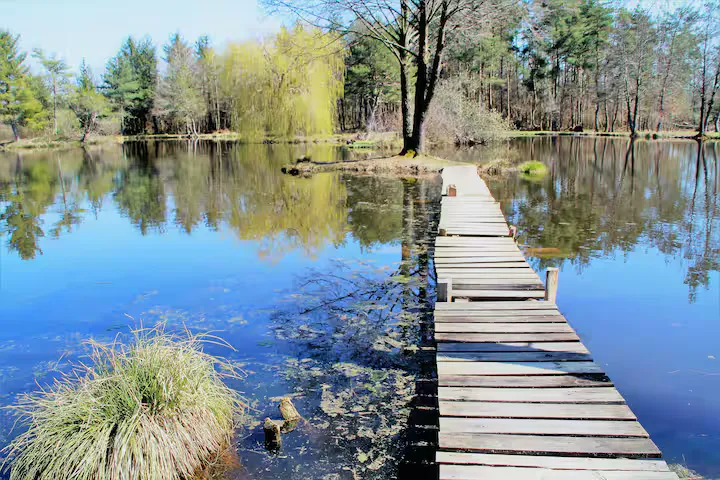 Gîte de pêche en Bourgogne de 3 à 4 personnes avec accès à 3 étangs privés de 3,5 ha