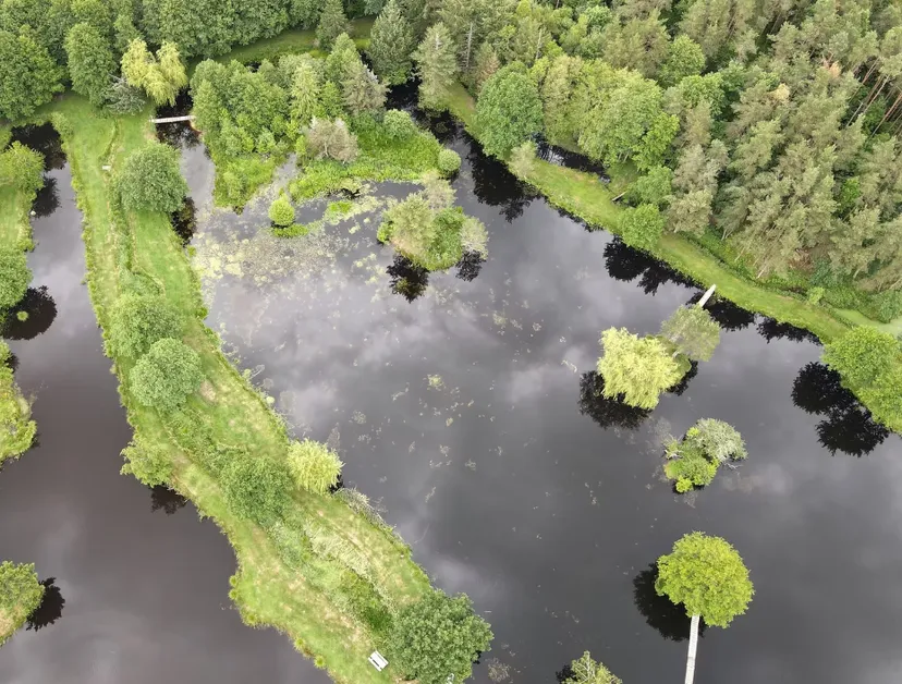 Gîte de pêche en Côte-d’Or pour 12 personnes avec accès à 2 étangs privés de 1,9 ha