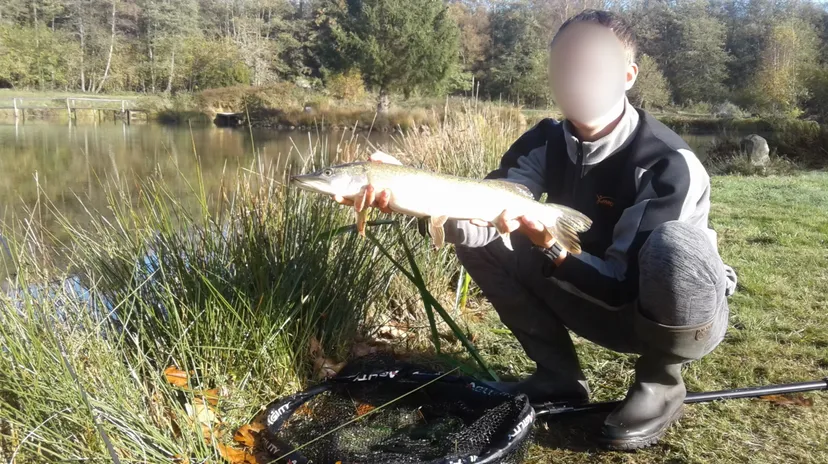 Gîte de pêche en Côte-d’Or pour 12 personnes avec accès à 2 étangs privés de 1,9 ha