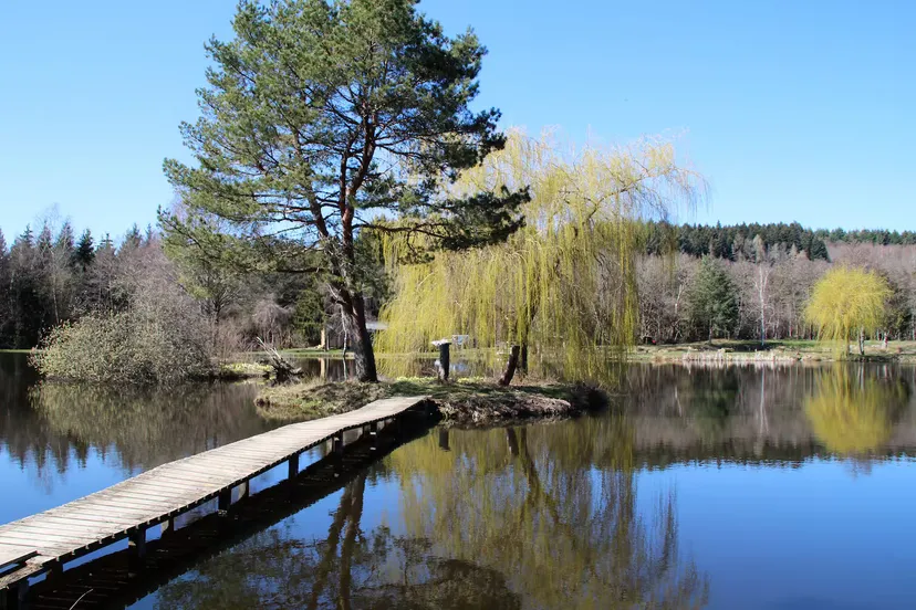 Gîte de pêche en Côte-d’Or pour 12 personnes avec accès à 2 étangs privés de 1,9 ha