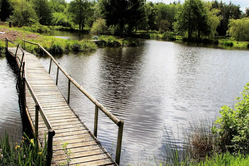 Gîte de pêche en Côte-d’Or pour 12 personnes avec accès à 2 étangs privés de 1,9 ha